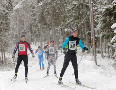 Cross country kayak erkekler güzel çam ormanı içinde grup