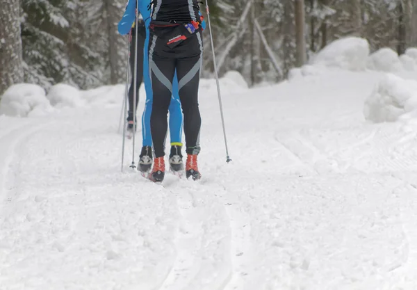 Stockholm Jan 2016 Rear View Legs Group Cross Country Skiing — 스톡 사진
