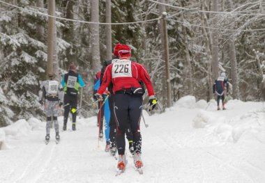 Bir grup cross country kayak durağındayım erkeklerde arkadan görünüş