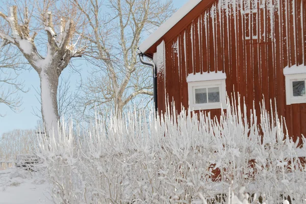 Tradycyjny dom z czerwone ściany, drzewa i śnieg — Zdjęcie stockowe
