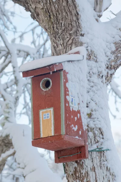 Casa di uccelli dipinta coperta di neve — Foto Stock