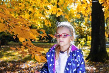 Sonbahar parkında bir kız, yürüyüş, boş zaman.