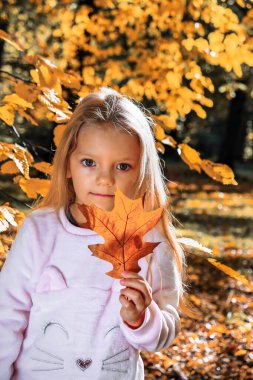 Sonbahar parkında bir kız, yürüyüş, boş zaman.