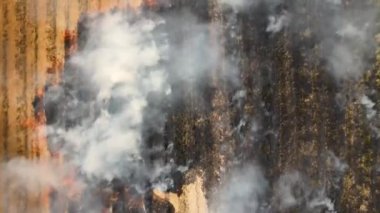 Yangın, sahada dumanlı hava manzaralı sakalları yakıyor.