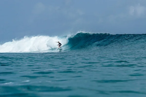 Surfista Sulla Perfetta Onda Acquamarina Blu Linea Vuota Perfetto Surf — Foto Stock