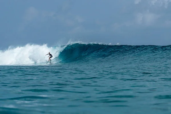 Surfista Sulla Perfetta Onda Acquamarina Blu Linea Vuota Perfetto Surf — Foto Stock