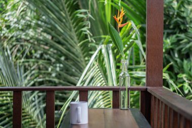Bali 'deki palmiye ağaçlarına eşleriyle tropikal bungalovun balkonunda üzerinde egzotik turuncu çiçek ve beyaz bardak olan bir şişe.