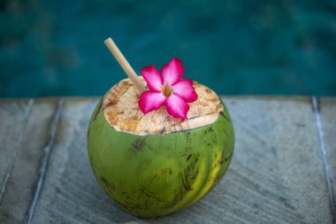 Yeşil hindistan cevizi, Bali 'de yüzme havuzunun kenarında bambu kamışı ve tropikal pembe çiçekle yakın plan.