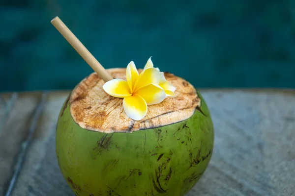 Green Young Coconut Close Bamboo Straw Tropical Flower Frangipani Edge Stock Image