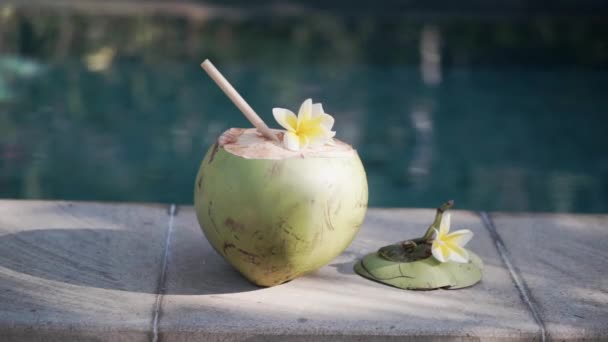 Footage Green Young Coconut Close Bamboo Straw Tropical Flower Frangipani — Stock Video