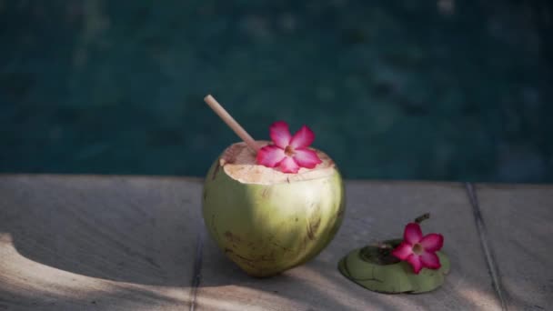 Imágenes Coco Verde Joven Cerca Con Paja Bambú Flor Rosa — Vídeos de Stock