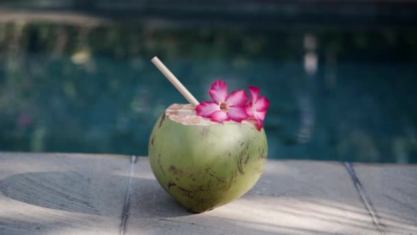 バリ島のスイミングプールの端にある竹の藁と熱帯ピンクの花で閉じられた緑の若いココナッツの映像 — ストック動画