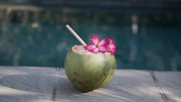 Footage Green Young Coconut Close Bamboo Straw Tropical Pink Flower — Stock Video