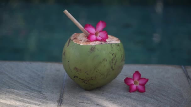 Filmagem Coco Jovem Verde Perto Com Palha Bambu Flor Rosa — Vídeo de Stock