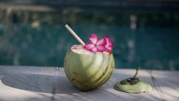 Filmagem Coco Jovem Verde Perto Com Palha Bambu Flor Rosa — Vídeo de Stock