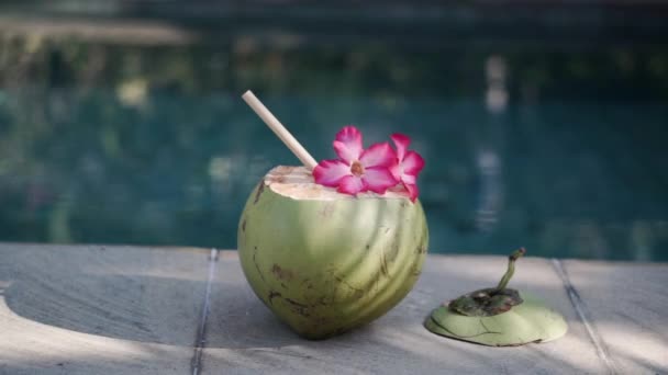 Filmagem Coco Jovem Verde Perto Com Palha Bambu Flor Rosa — Vídeo de Stock