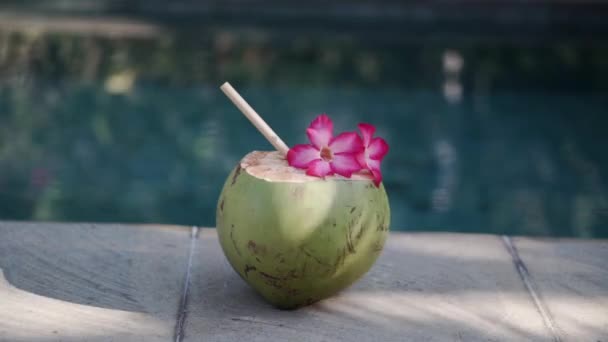 Filmagem Coco Jovem Verde Perto Com Palha Bambu Flor Rosa — Vídeo de Stock