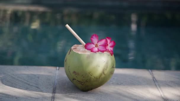발리의 수영장 가장자리에 대나무 분홍빛 가까이 초록빛어린 코코넛의 — 비디오