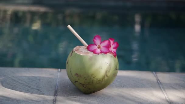 Footage Green Young Coconut Close Bamboo Straw Tropical Pink Flower — Stock Video