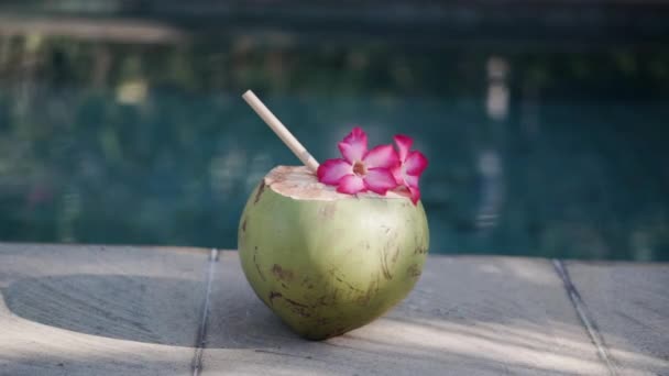 Filmagem Coco Jovem Verde Perto Com Palha Bambu Flor Rosa — Vídeo de Stock