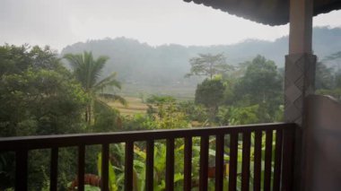 Sabah sisli görüntüsü pirinç tarlalarına, palmiye ağaçlarına, papaya ağacına, Bali 'deki Sidemen kasabasındaki tropikal doğaya ait.