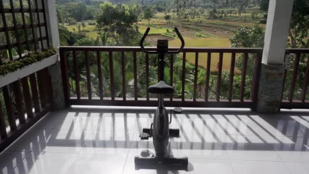 Video Záběry Cvičení Terase Nádherným Výhledem Rýžová Pole Palmy Bali — Stock video