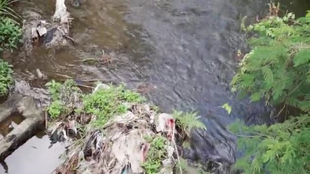 Vidéo Petite Rivière Indonésienne Dans Jungle Avec Des Ordures Sidemen — Video