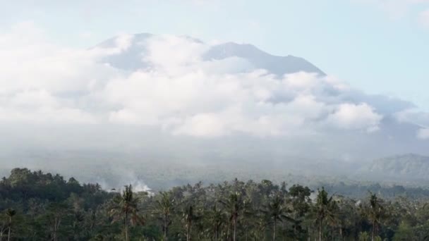 雲の中のアグン山の美しい景色 田んぼ ヤシの木 バリのヤシの木のココナッツのビデオ — ストック動画