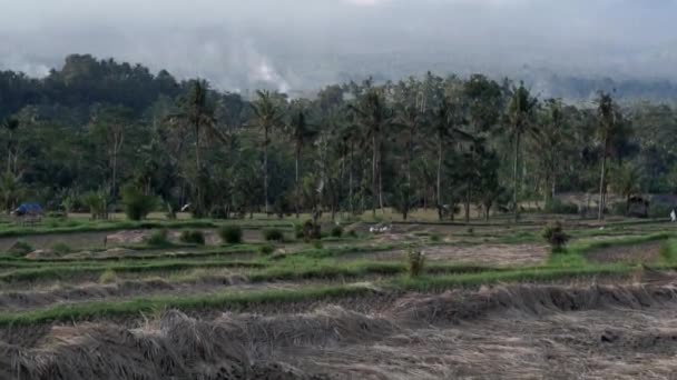 Videobeelden Van Een Prachtig Uitzicht Berg Agung Wolken Rijstvelden Palmbomen — Stockvideo