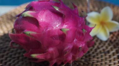 Video görüntüleri, taze kırmızı ejderha meyvesiyle yüzme havuzunun kenarında beyaz tropikal çiçeklerle frangipani 'yi, palmiye dalından gölgeyi ve Bali' de arka planda kaynayan mavi havuz suyunu gösteriyor. 