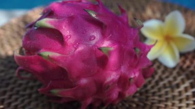 Video görüntüleri, taze kırmızı ejderha meyvesiyle yüzme havuzunun kenarında beyaz tropikal çiçeklerle frangipani 'yi, palmiye dalından gölgeyi ve Bali' de arka planda kaynayan mavi havuz suyunu gösteriyor. 