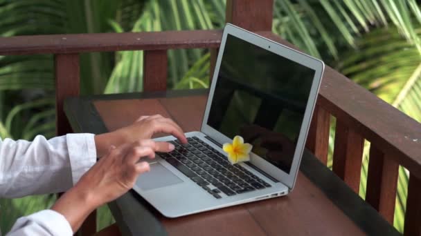 Video Footage Young Blonde Woman Freelancer Working Laptop Typing Bikini — Stockvideo