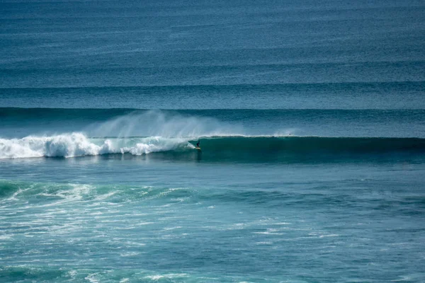 Surfer Perfecte Blauwe Golf Het Vat Schoon Water Indische Oceaan Rechtenvrije Stockfoto's