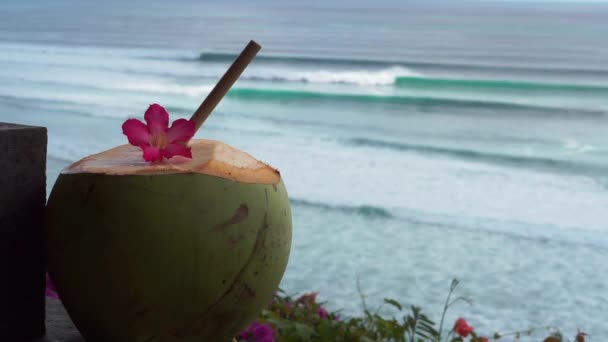 Video Footage Green Young Fresh Coconut Close Bamboo Straw Pink — Stock Video