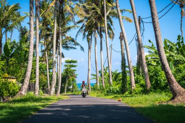 Mayo giymiş sörfçü kız motosikletle okyanusa gidiyor güneşli bir günde palmiye ağaçları ve Bal 'da mavi gökyüzü var.
