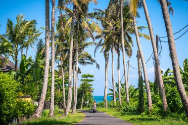 Mayo giymiş sörfçü kız motosikletle okyanusa gidiyor güneşli bir günde palmiye ağaçları ve Bal 'da mavi gökyüzü var.