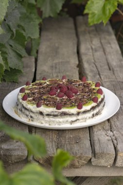 Ev yapımı çikolatalı kek Ahududu ve kivi ahşap üzerinde 