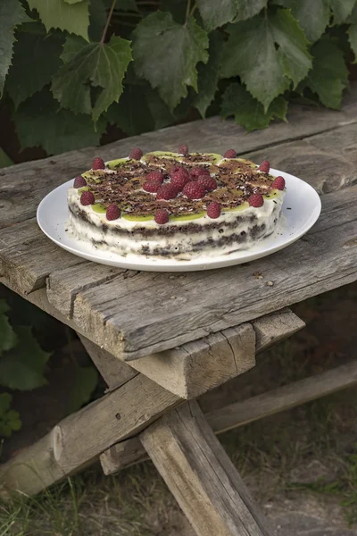 Ev yapımı çikolatalı kek Ahududu ve kivi ahşap üzerinde 