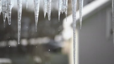 Buzlar çözülürken damlalar. Evin çatısında buz saçaklarının erimesi. Baharın gelişi. Mevsimler kıştan bahara değişir..