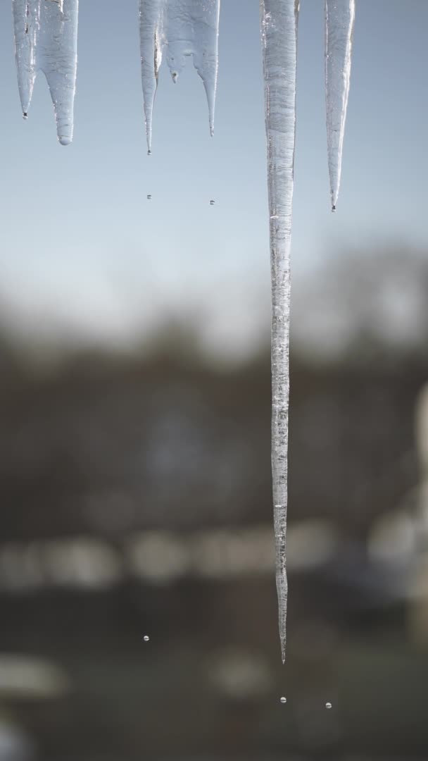 Gouttes pendant le dégel. Fonte printanière de glaçons sur le toit de la maison. L'arrivée du printemps. Changement de saison de l'hiver au printemps. Vidéo Full HD verticale ralenti 100 ips. — Video