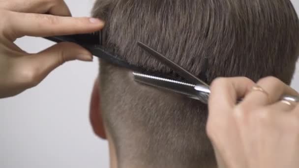 Thinning cabelo na parte de trás da cabeça com tesoura de desbaste close-up. — Vídeo de Stock