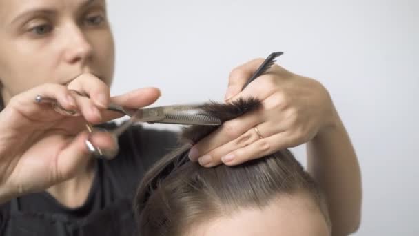 Dziewczyna fryzjer sprawia, że przerzedzenie włosów z cienkich nożyczek. — Wideo stockowe