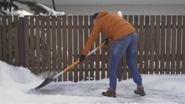 Człowiek szuflada śniegu z drogi w pobliżu ogrodzenia z łopatą śnieżną. — Wideo stockowe