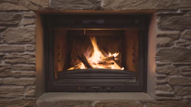 Классический камин с открытым пламенем горящего дерева — стоковое видео