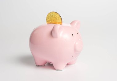 Şifreli para sembollü klasik bir pembe domuz kumbarası. Bitcoin altın sikke.