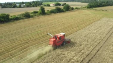 Bir biçerdöver tarlalardan tahıl toplar.