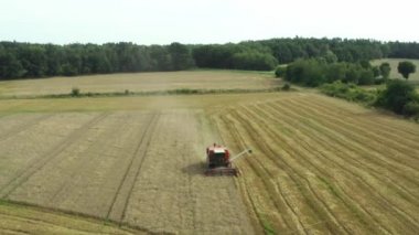 BIZON biçerdöver tarlalardan tahıl topluyor.