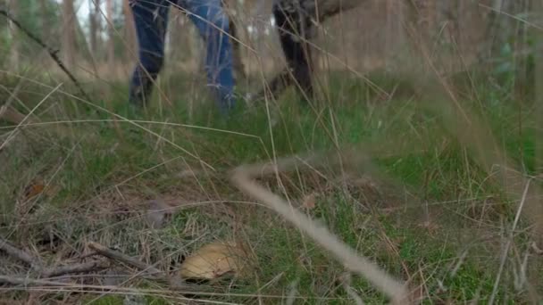 Een vrouw en een jongen lopen in het bos en vinden een paddenstoel in het gras.. — Stockvideo