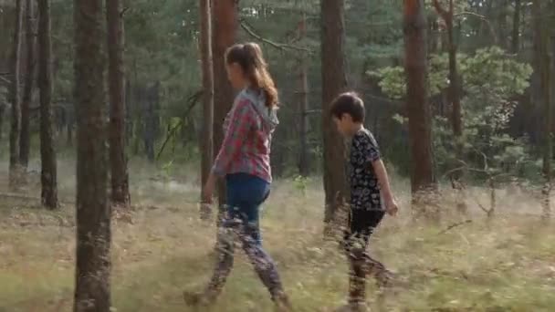 Женщина и мальчик гуляют по лесу между деревьями — стоковое видео