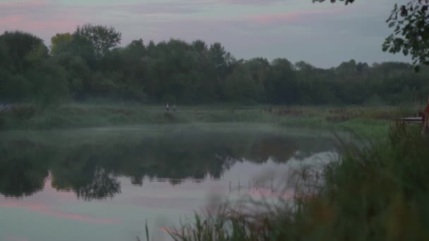 Uma mulher e uma criança caminham no nevoeiro na margem do lago ao entardecer — Vídeo de Stock